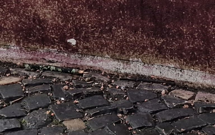 In der Detailvergrößerung zeigt sich, dass das Galaxy S22 Ultra wesentlich weniger Details zeigt ...